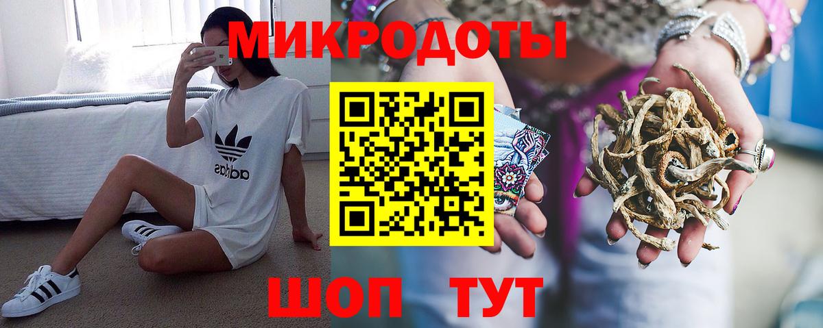 Галлюциногенные грибы Psilocybe Алапаевск