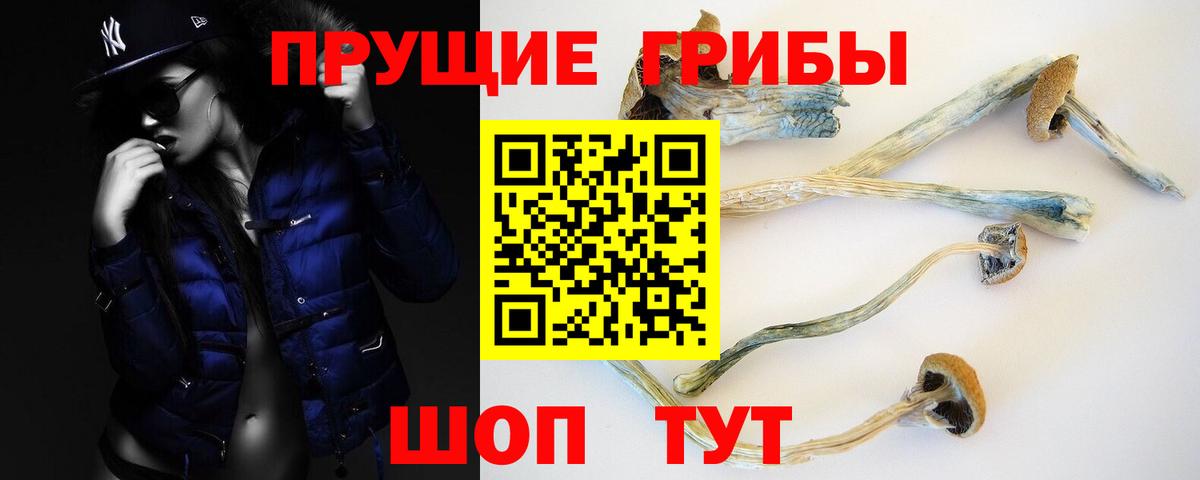 Галлюциногенные грибы MAGIC MUSHROOMS  Вход с VPN  Галлюциногенные грибы Psilocybine cubensis  даркнет сайт  Алапаевск 