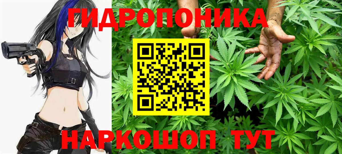 Бошки Шишки индика Алапаевск
